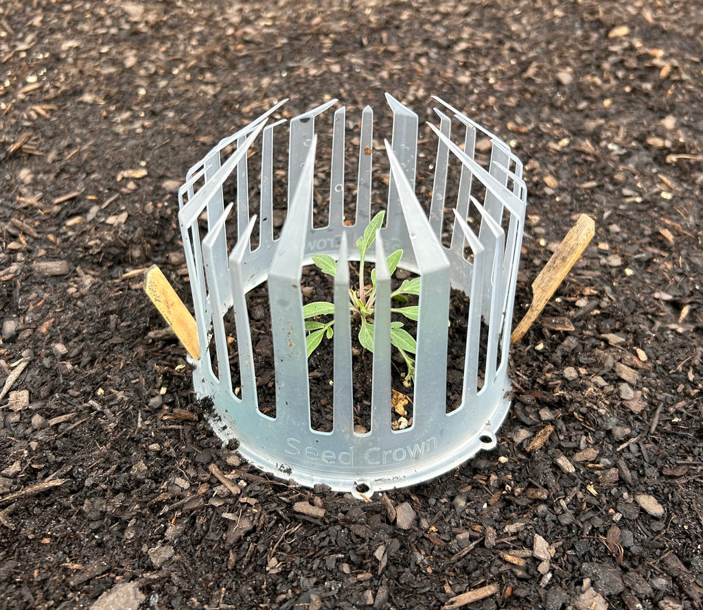 Seed Crowns® Plant Support Protection | Deters Squirrels from digging up seeds Pack (10, 25, 50)