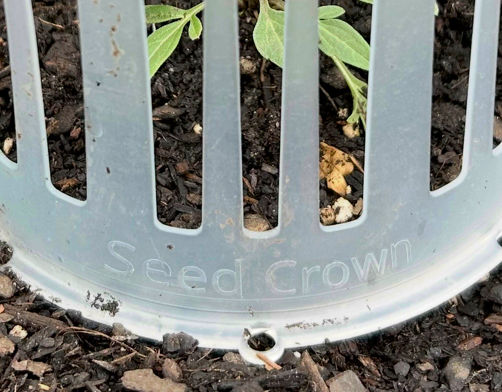 Seed Crowns® Plant Support Protection | Deters Squirrels from digging up seeds Pack (10, 25, 50)